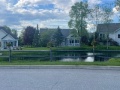 Pond-Flowers-2025-1